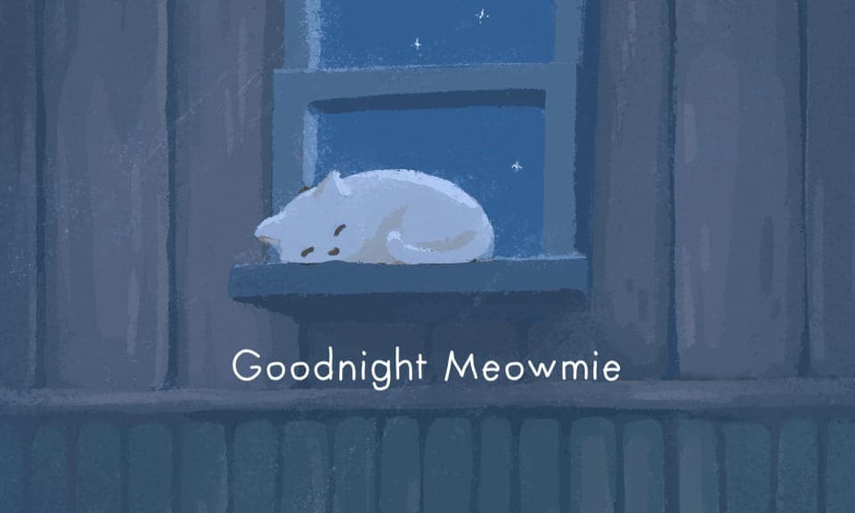 A white cat asleep on a windowsill at night above the title